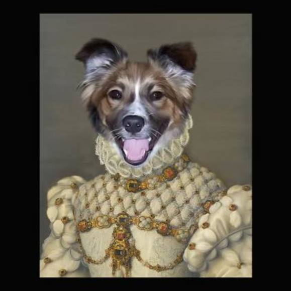 catndognurse